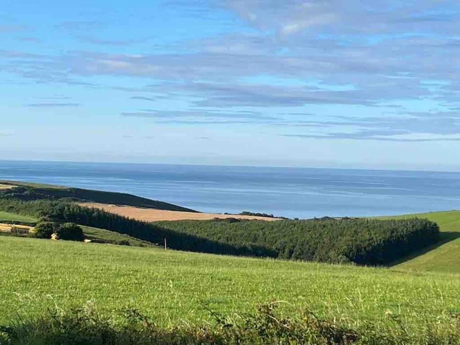 The Bird House - Coastal Lodge In Lovely Forest Setting Nr. Kinsale Κορκ Εξωτερικό φωτογραφία