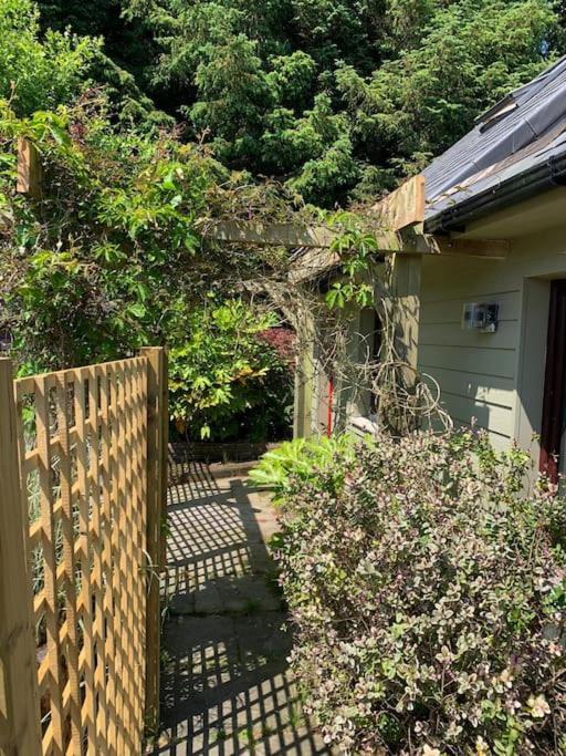 The Bird House - Coastal Lodge In Lovely Forest Setting Nr. Kinsale Κορκ Εξωτερικό φωτογραφία